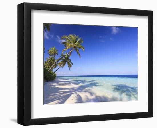 Maldives, Faafu Atoll, Filitheyo Island-Michele Falzone-Framed Photographic Print