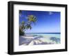 Maldives, Faafu Atoll, Filitheyo Island-Michele Falzone-Framed Photographic Print