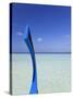 Maldives, Faafu Atoll, Lagoon-Michele Falzone-Stretched Canvas