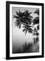 Maldives, Felidhu Atoll, Palm Tress on Beach-Michele Westmorland-Framed Photographic Print