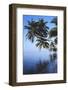 Maldives, Felidhu Atoll, Palm Tress on Beach-Michele Westmorland-Framed Photographic Print