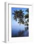 Maldives, Felidhu Atoll, Palm Tress on Beach-Michele Westmorland-Framed Photographic Print