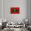 Maldives Flag Design with Wood Patterning - Flags of the World Series-Philippe Hugonnard-Framed Stretched Canvas displayed on a wall
