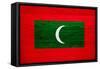 Maldives Flag Design with Wood Patterning - Flags of the World Series-Philippe Hugonnard-Framed Stretched Canvas