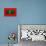 Maldives Flag Design with Wood Patterning - Flags of the World Series-Philippe Hugonnard-Stretched Canvas displayed on a wall