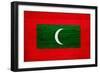 Maldives Flag Design with Wood Patterning - Flags of the World Series-Philippe Hugonnard-Framed Art Print