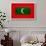 Maldives Flag Design with Wood Patterning - Flags of the World Series-Philippe Hugonnard-Framed Art Print displayed on a wall