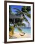 Maldives, Indian Ocean-Jon Arnold-Framed Photographic Print