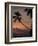 Maldives Islands, Indian Ocean, Asia-Angelo Cavalli-Framed Photographic Print