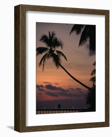 Maldives Islands, Indian Ocean, Asia-Angelo Cavalli-Framed Photographic Print