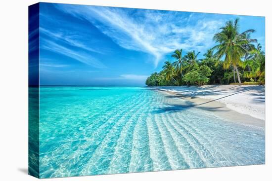Maldives Islands Ocean Tropical Beach-Altug Galip-Stretched Canvas