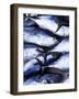 Maldives, Male Atoll, Male Town, Fishmarket-Michele Falzone-Framed Photographic Print