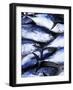 Maldives, Male Atoll, Male Town, Fishmarket-Michele Falzone-Framed Photographic Print