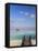 Maldives, Meemu Atoll, Medhufushi Island, Luxury Resort, Overwater Bungalows-Michele Falzone-Framed Stretched Canvas