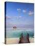 Maldives, Meemu Atoll, Medhufushi Island, Luxury Resort, Overwater Bungalows-Michele Falzone-Stretched Canvas