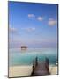 Maldives, Meemu Atoll, Medhufushi Island, Luxury Resort, Overwater Bungalows-Michele Falzone-Mounted Photographic Print