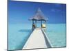 Maldives, Pier and Ocean-Peter Adams-Mounted Premium Photographic Print