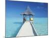 Maldives, Pier and Ocean-Peter Adams-Mounted Photographic Print