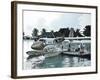 Maldives, Seaplane at Resort-Michele Falzone-Framed Photographic Print