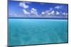 Maldives, South Ari Atoll, Mandhoo Island-Michele Falzone-Mounted Photographic Print