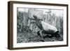 Male Abingdon or Pinta Island Giant Tortoise at London Zoo, 20th January 1914-Frederick William Bond-Framed Photographic Print