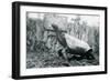 Male Abingdon or Pinta Island Giant Tortoise at London Zoo, 20th January 1914-Frederick William Bond-Framed Photographic Print