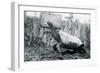 Male Abingdon or Pinta Island Giant Tortoise at London Zoo, 20th January 1914-Frederick William Bond-Framed Photographic Print