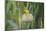 Male African Golden Weaver (Ploceus Subaureus) Tending to its Nest in Reedbeds-Neil Aldridge-Mounted Photographic Print