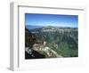 Male Alpine Ibex, View of Sigriswiler Rothorn, Niederhorn, Switzerland-Rolf Nussbaumer-Framed Premium Photographic Print