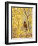 Male American Robin in Aspen Tree, Grand Teton National Park, Wyoming, USA-Rolf Nussbaumer-Framed Premium Photographic Print