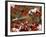 Male American Robin in Black Hawthorn, Grand Teton National Park, Wyoming, USA-Rolf Nussbaumer-Framed Photographic Print