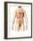 Male Anatomy of Internal Organs-null-Framed Art Print