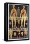 Male And Female Anatomy-Mehau Kulyk-Framed Stretched Canvas