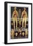 Male And Female Anatomy-Mehau Kulyk-Framed Photographic Print