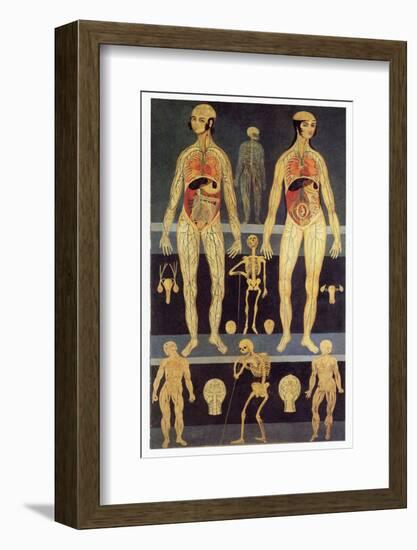 Male And Female Anatomy-Mehau Kulyk-Framed Photographic Print