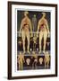 Male And Female Anatomy-Mehau Kulyk-Framed Photographic Print