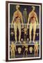 Male And Female Anatomy-Mehau Kulyk-Framed Photographic Print