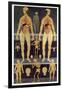 Male And Female Anatomy-Mehau Kulyk-Framed Photographic Print