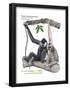 Male and Female Chinese White-Cheeked Gibbon (Hylobates Leucogenys), Ape, Mammals-Encyclopaedia Britannica-Framed Poster