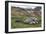 Male and female Elephant seals. Grytviken. South Georgia Islands.-Tom Norring-Framed Photographic Print