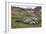 Male and female Elephant seals. Grytviken. South Georgia Islands.-Tom Norring-Framed Photographic Print