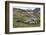 Male and female Elephant seals. Grytviken. South Georgia Islands.-Tom Norring-Framed Photographic Print