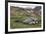 Male and female Elephant seals. Grytviken. South Georgia Islands.-Tom Norring-Framed Photographic Print