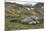 Male and female Elephant seals. Grytviken. South Georgia Islands.-Tom Norring-Mounted Photographic Print