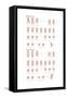 Male and Female Human Karyotypes. Chromosomes, Heredity, Genetics-Encyclopaedia Britannica-Framed Stretched Canvas