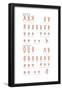 Male and Female Human Karyotypes. Chromosomes, Heredity, Genetics-Encyclopaedia Britannica-Framed Poster