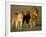 Male and Female Lion-Paul Souders-Framed Photographic Print