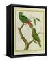 Male and Female Philippine Hanging Parrots-Georges-Louis Buffon-Framed Stretched Canvas