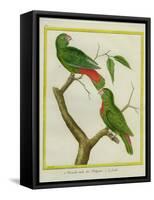 Male and Female Philippine Hanging Parrots-Georges-Louis Buffon-Framed Stretched Canvas