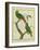 Male and Female Philippine Hanging Parrots-Georges-Louis Buffon-Framed Giclee Print